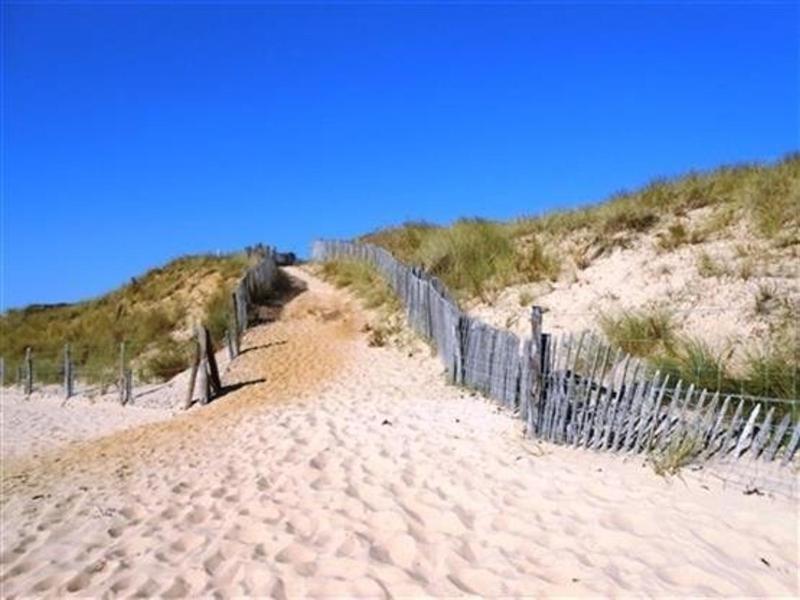 Apartment (4 Adults) image 3