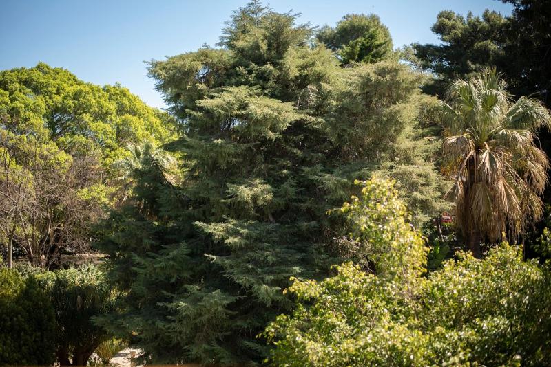 Double Room with Terrace image 3