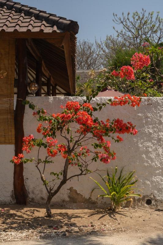 Villa Rika - image 50