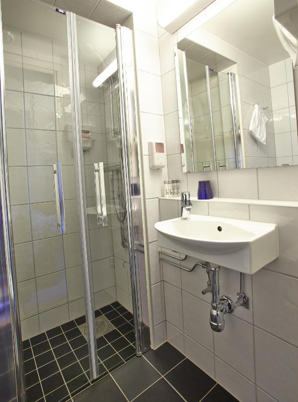 Small Single Room image 3