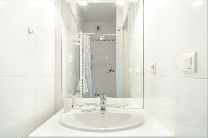 Le Sully - Joli duplex centre de Nantes - image 3