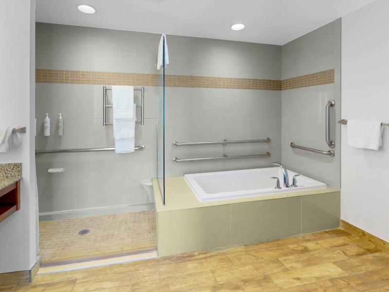One-Bedroom King Suite image 2