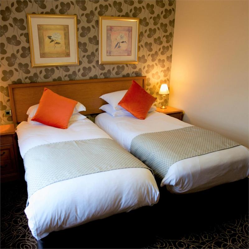 Standard Twin Room image 3