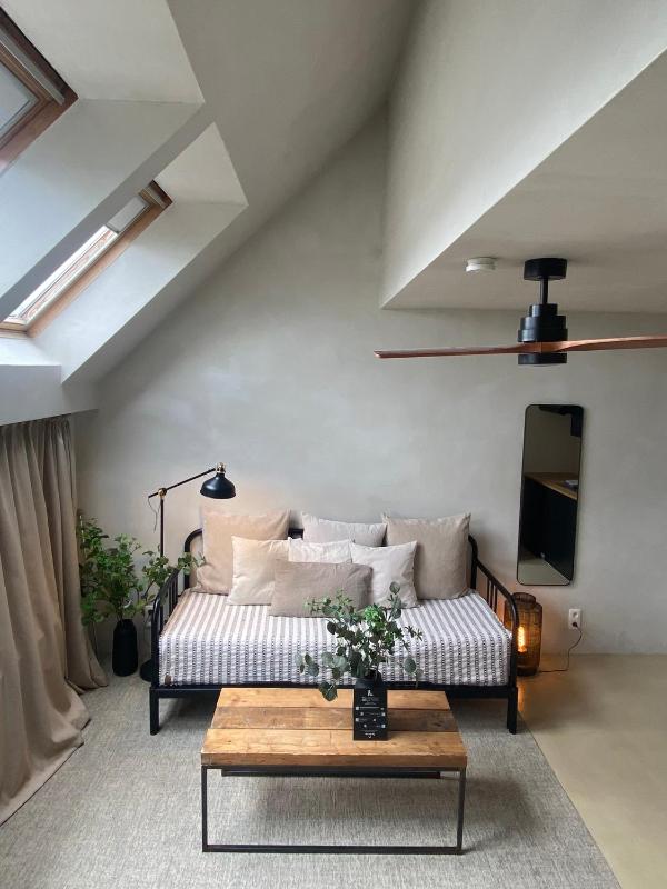 Duplex Apartment image 3