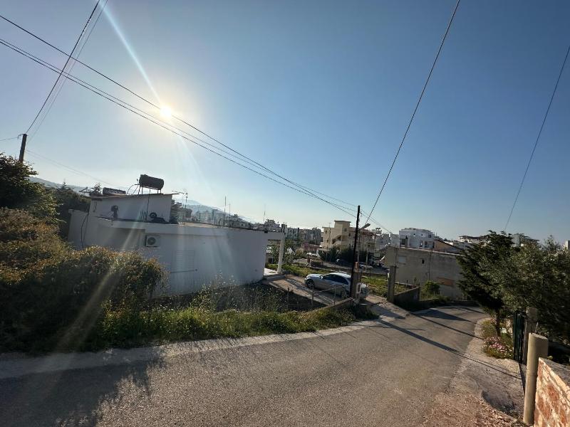 Guest House Drizaj - image 14