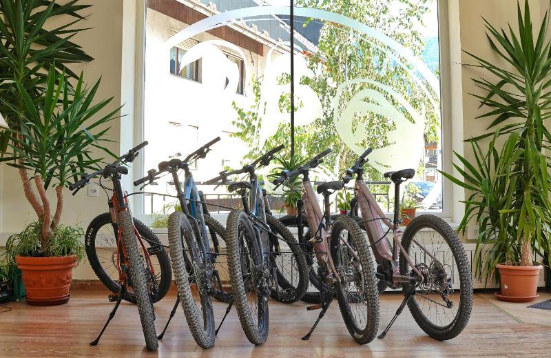 Family Room with Shared Bathroom image 4