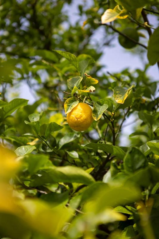 Standard Double Room (Adjacent Building) image 2