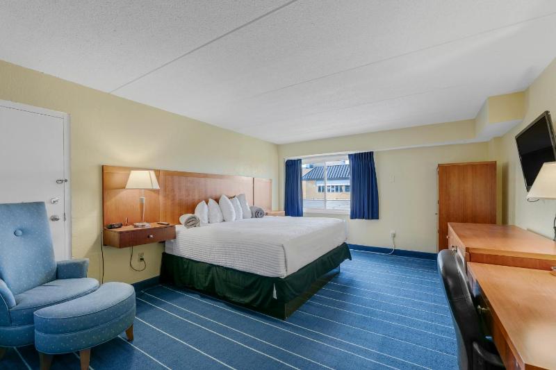 Deluxe Single Room image 3