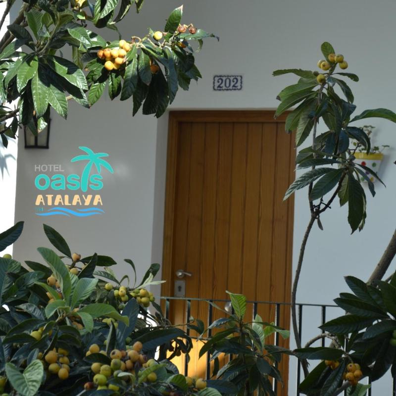 Hotel Oasis Atalaya - image 28