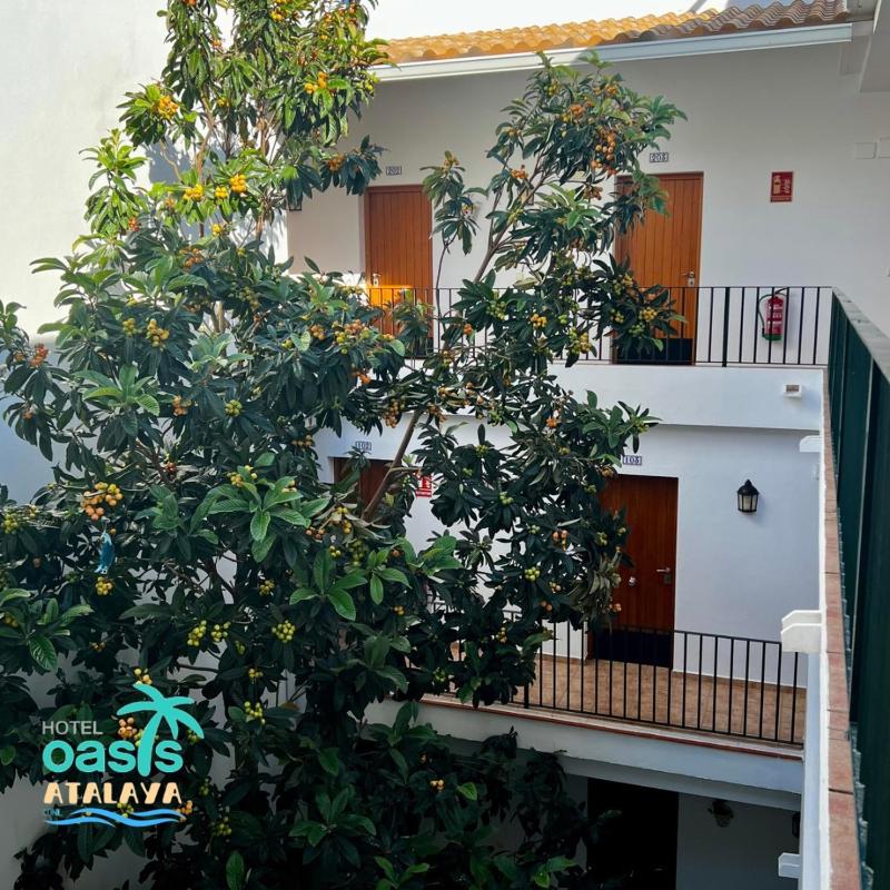 Hotel Oasis Atalaya - image 40