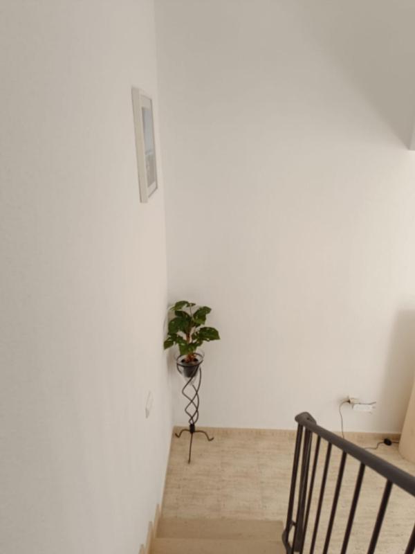 Vera Natura Apartamento Esperanza - image 46