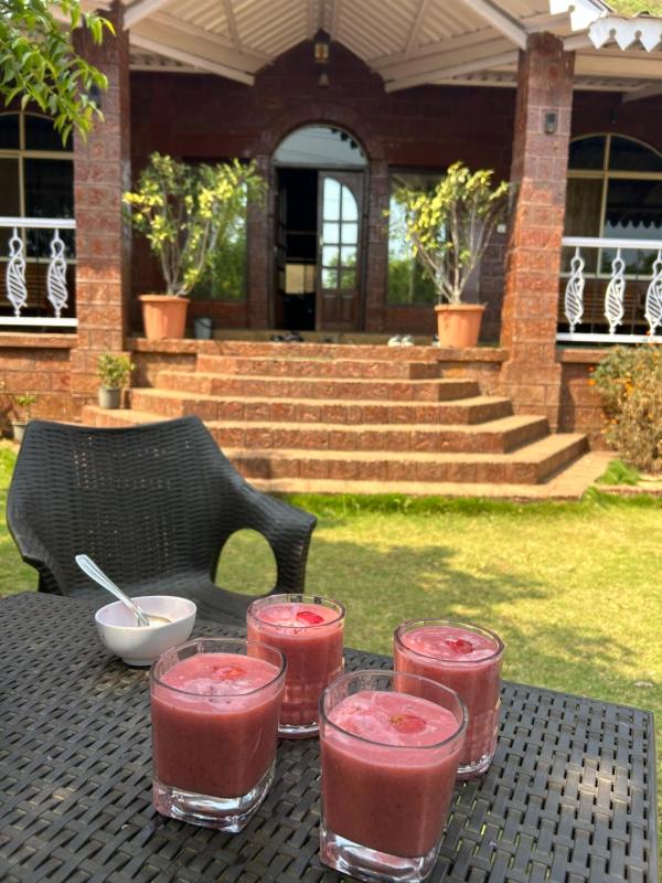 Sai Leela Bungalow - Villa with Private Pool - image 37
