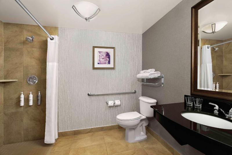 King Room with Roll-In Shower - Mobility Access image 1