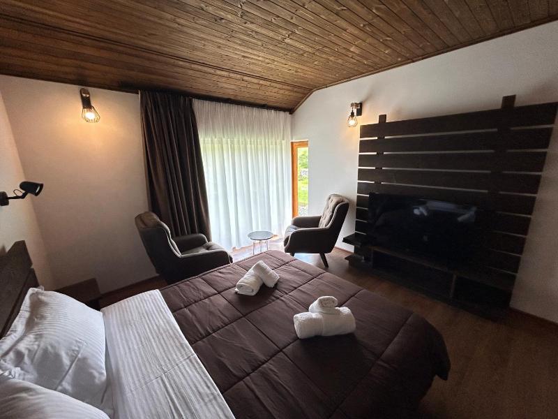 Deluxe Double Room image 1