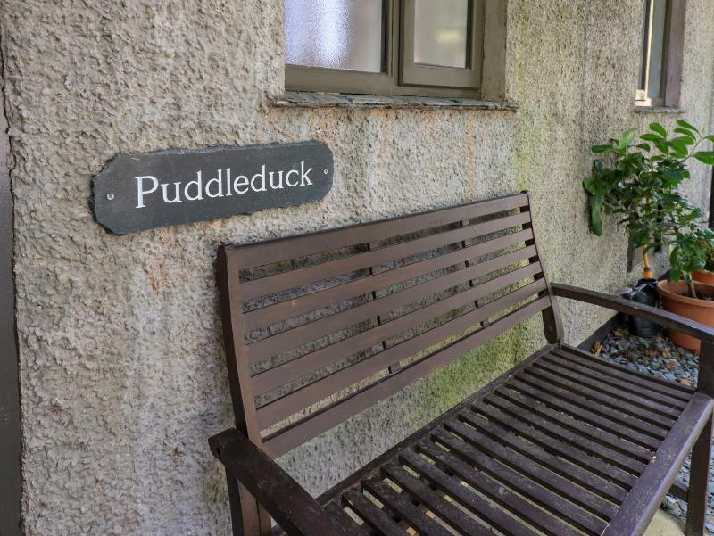 Puddleduck - image 17