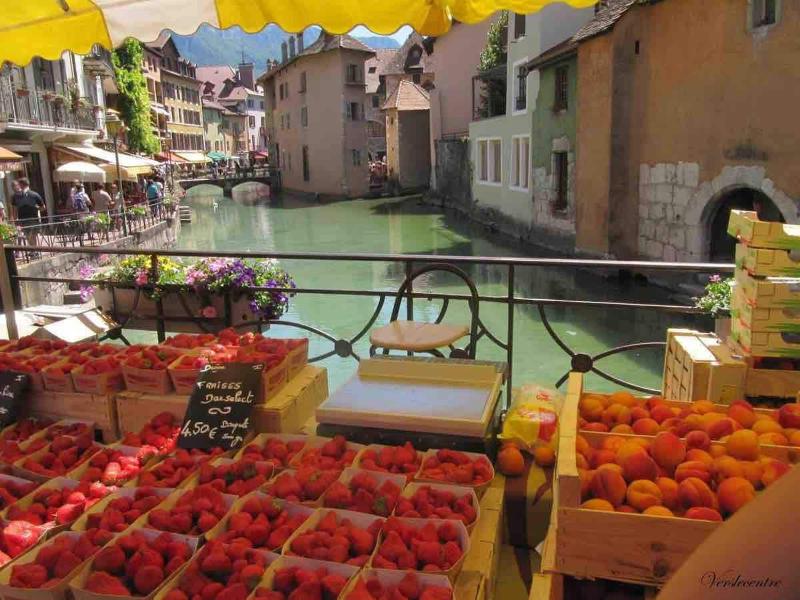 L Annex centre ville Annecy - image 19