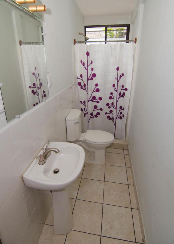 La Bicicleta Hostal - image 2
