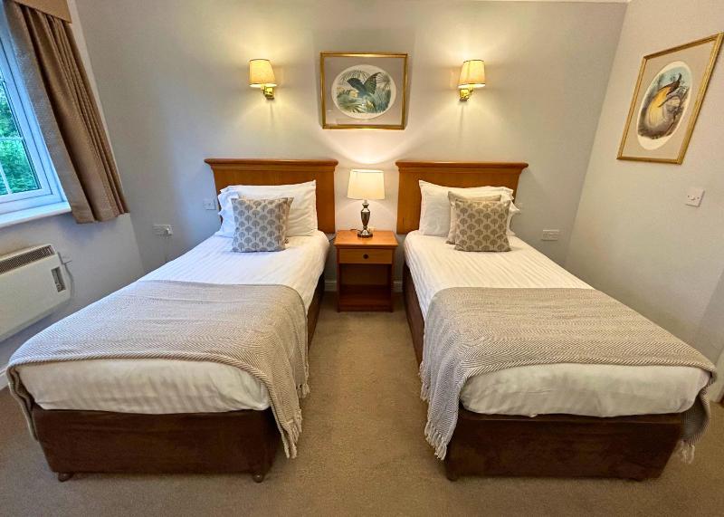 Twin Room image 1