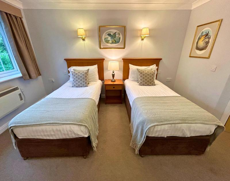 Twin Room image 4