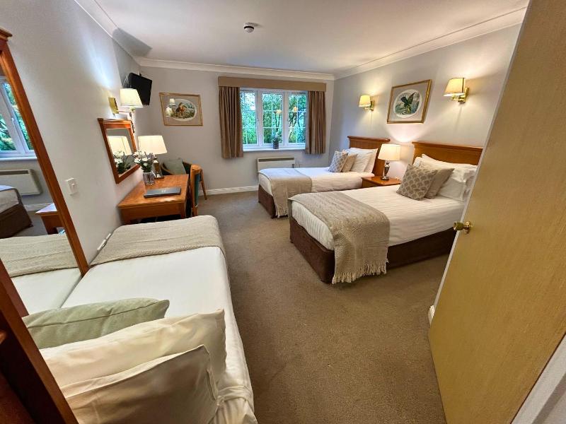 Standard Triple Room image 1