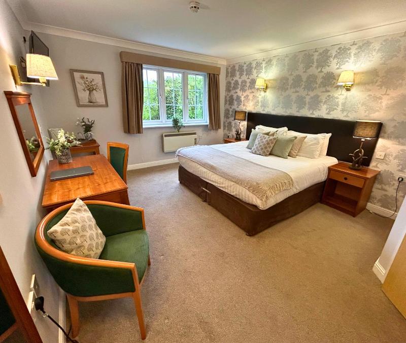 Superior Double Room image 1