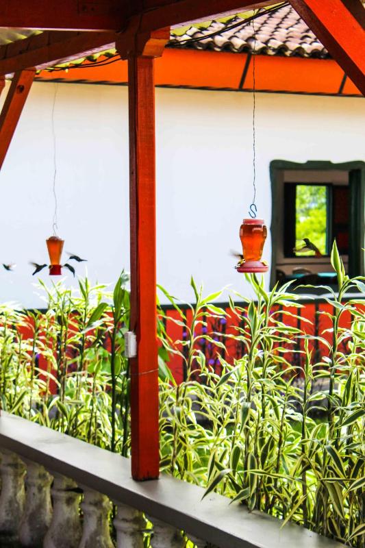 Hotel campestre La Floresta - image 15