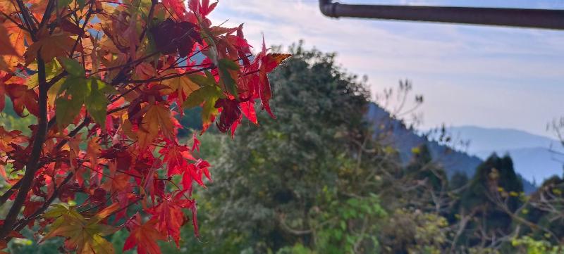 Bikers Den Zuluk - image 11