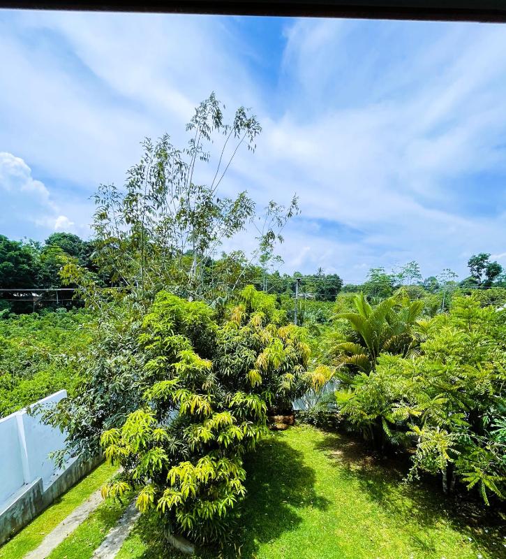 New Cinnamon Villa - image 11