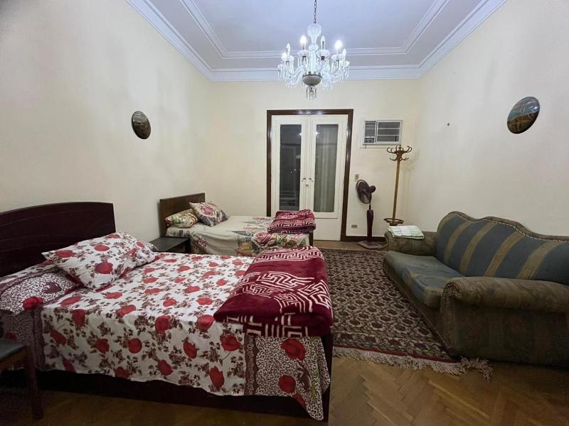 Beautiful apartment in the heart of cairo - image 10
