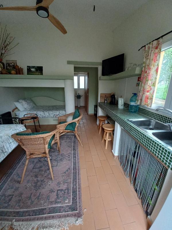 Studio with Garden View image 4