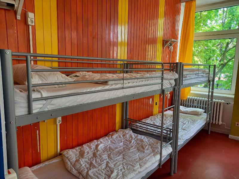 Bunk Bed in Mixed Dormitory Room image 4