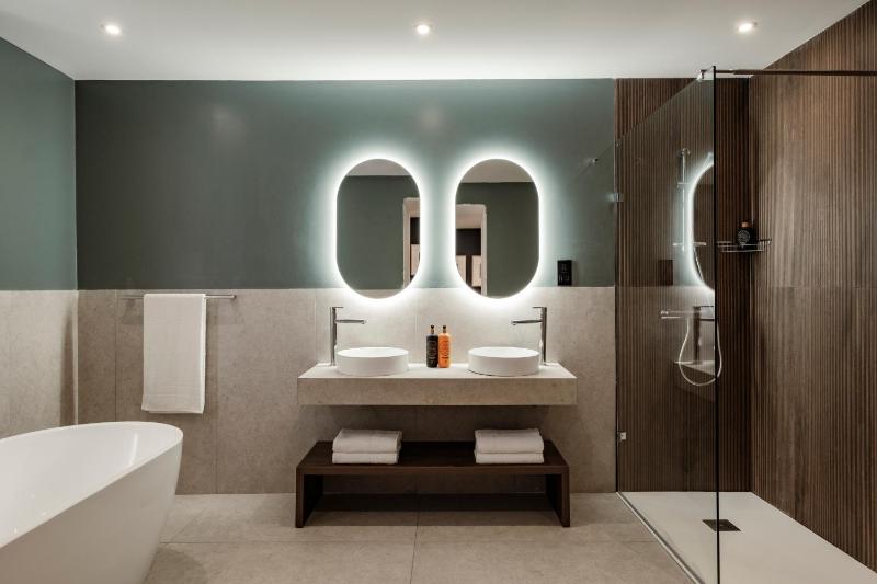 Premium Suite image 3