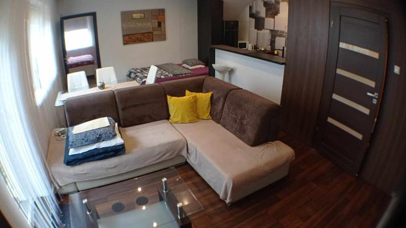 One-Bedroom Apartment with Terrace image 1