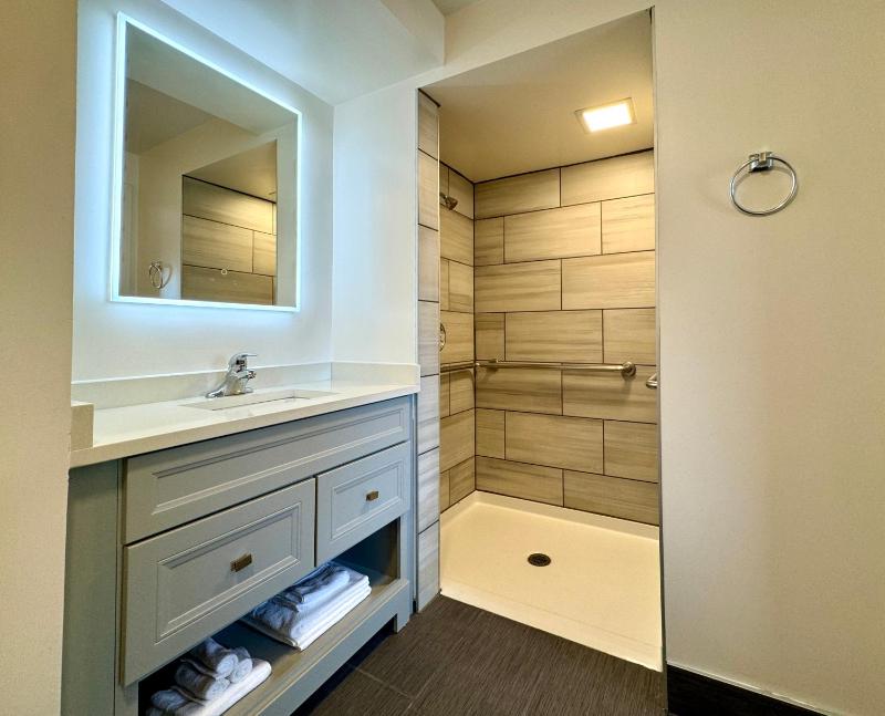 One Bedroom Suite (Accessible) image 4