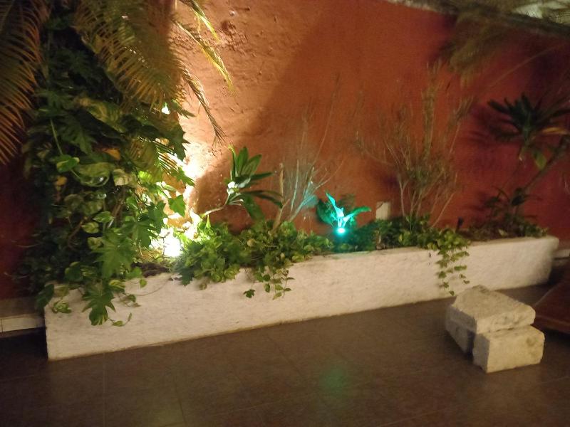 Hotel Reforma - image 12