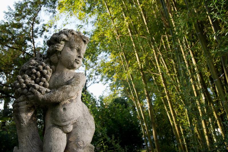 Classic Double Room image 3