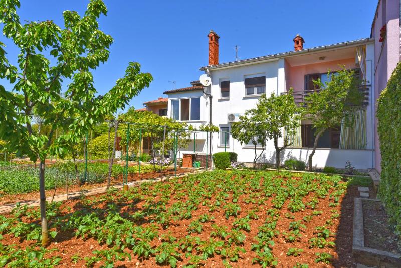 Apartments Nevina 1230 - image 12