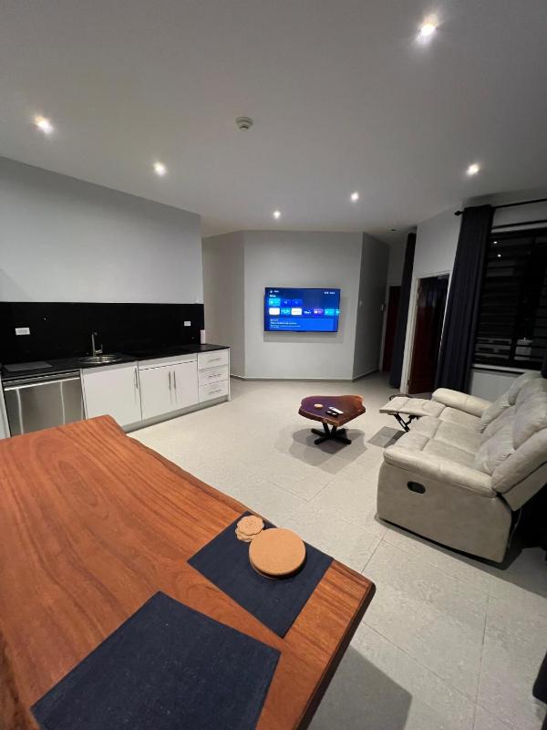 Snowy Lodge fully airconditioned & luxurious apartments - image 3