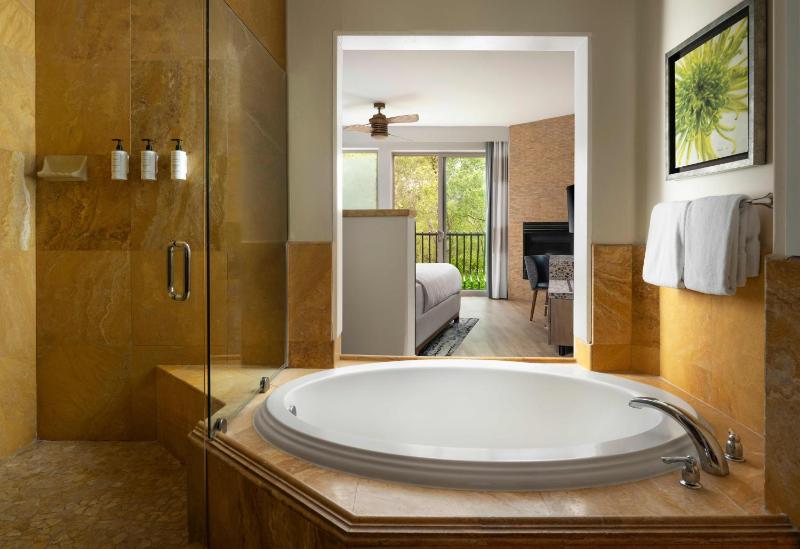 Superior King Room with Spa Tub image 1