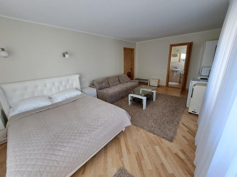 Agava - image 35