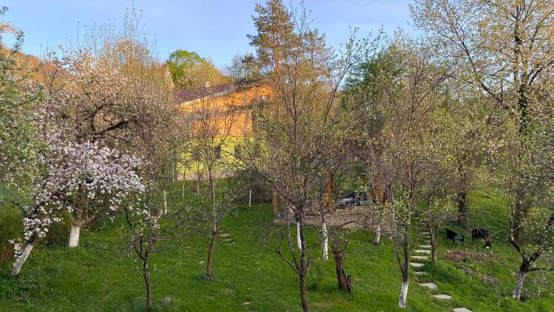 Apartment with Terrace image 3