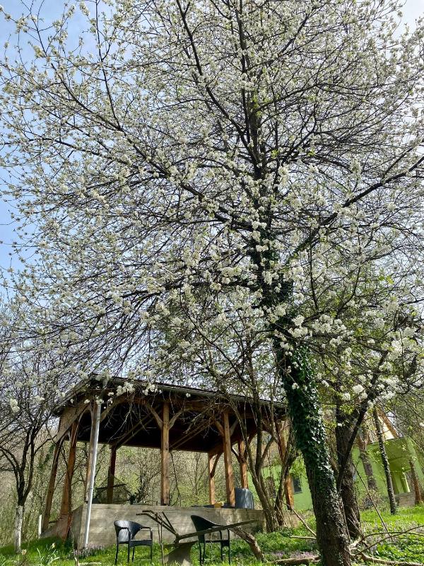 Apartment with Terrace image 4