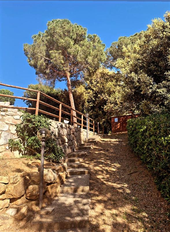 Il Boschetto sul Mare - Goelba - image 17