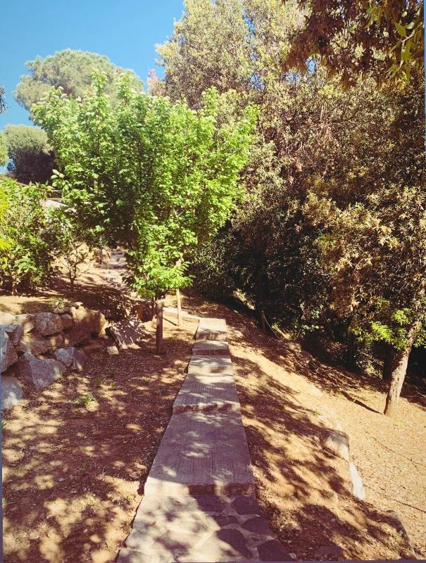 Il Boschetto sul Mare - Goelba - image 13