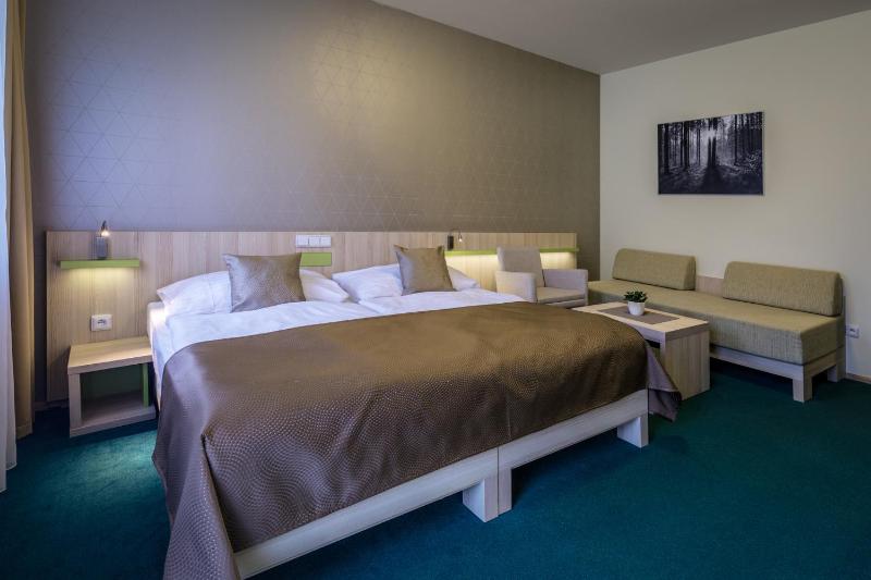 Double or Twin Room image 4