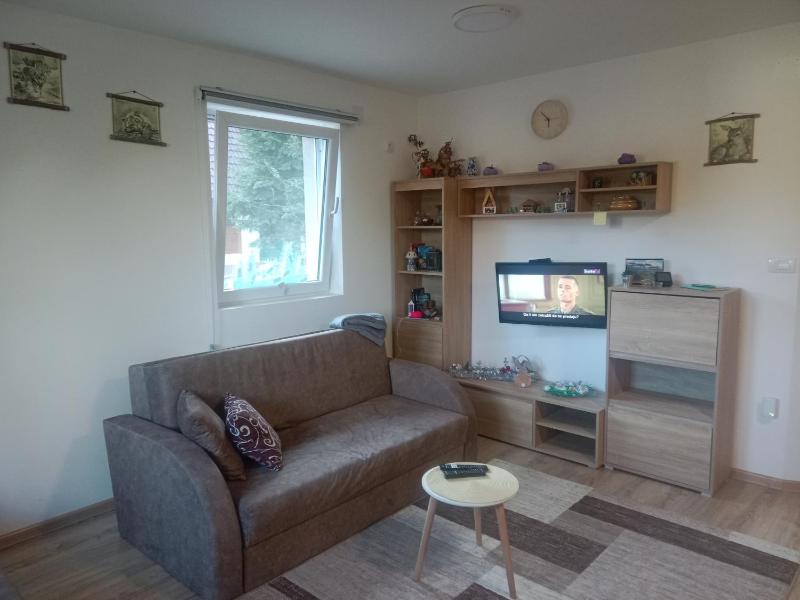 Apartment - Split Level image 1