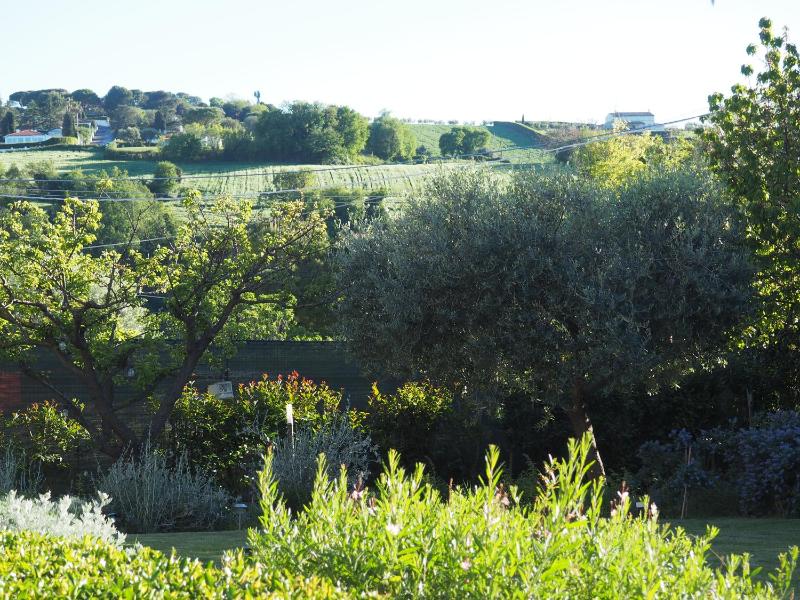 Aura Relais - image 26