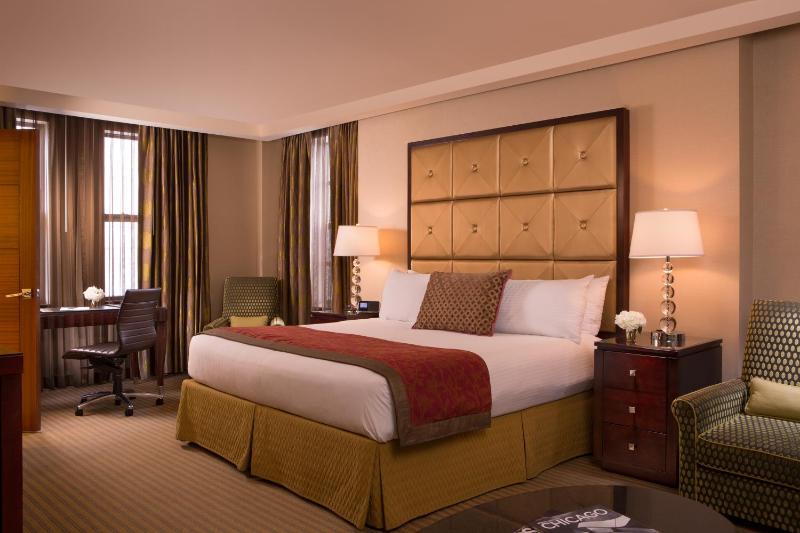Millennium Hotel Knickerbocker Chicago - image 7