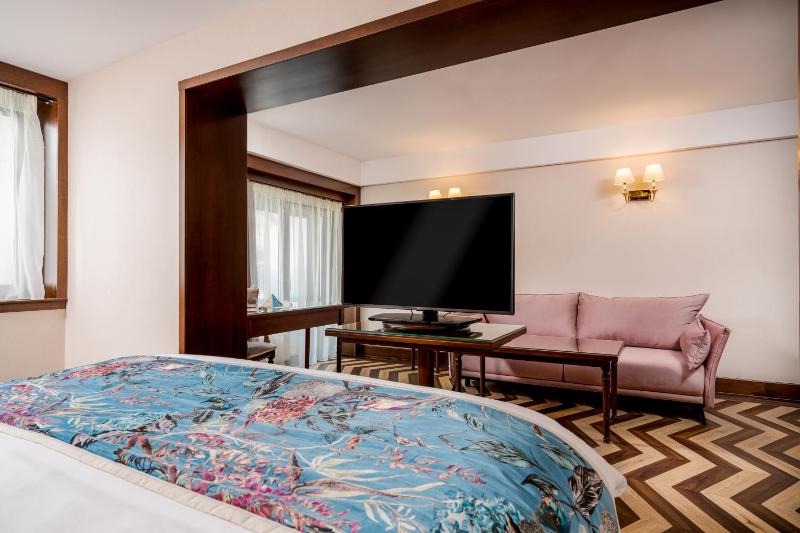 Junior Executive Suite with balcony (Without Air Conditioning) image 3