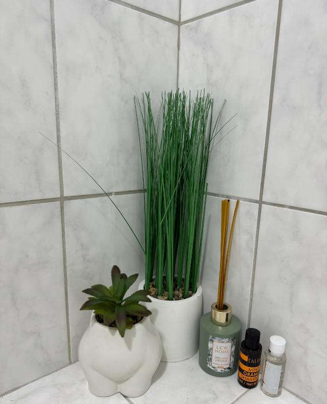 Apartman Bonsai - image 8